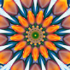 109630296646355646094@google