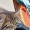 363131307@vkontakte