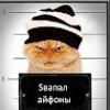 110399862989523887380@google
