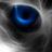 105268553285921551814@google