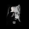 Star_Warsik