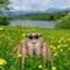 535627156@vkontakte