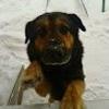 110818610536452870748@google