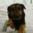 110818610536452870748@google