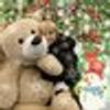 30114646@vkontakte