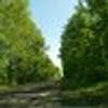 518051689@vkontakte