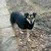 379005947@vkontakte