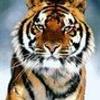 9195667960414247616@mailru