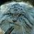 115960785055625713578@google