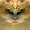 605661580@vkontakte
