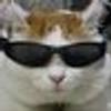 483585749@vkontakte