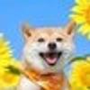 737726225@vkontakte