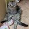 10446498@vkontakte
