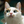 13429675045967535202@mailru