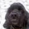 100409743144787128733@google