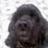 100409743144787128733@google