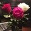 611615332@vkontakte