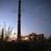 79725633@vkontakte