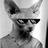 15088908@vkontakte