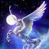 113147937273416433173@google