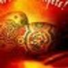 423577825@vkontakte