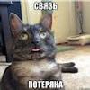 109076405689670293544@google