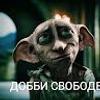 104836574251375611267@google