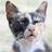 112006277705925838830@google