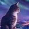 651807806@vkontakte