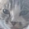 256288371@vkontakte