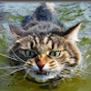 112054771312016389024@google