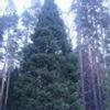 2492775271766351234@mailru