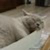 37735409@vkontakte