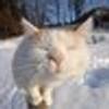643439790@vkontakte