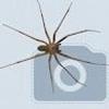 114576433986738185999@google