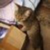 198311722@vkontakte