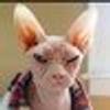 105055662@vkontakte