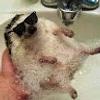 110561316111516880555@google