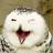 116561833838704537046@google