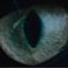 239401638@vkontakte