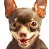 106803228955872094288@google
