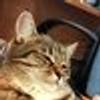 613564268@vkontakte