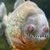 64618552@vkontakte