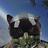 104594643809163548687@google