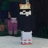 114758567592916601226@google