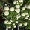 275809385@vkontakte