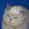 107770316672078140914@google