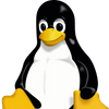 Fenix_45
