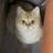 442952354@vkontakte