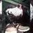 836119829@vkontakte